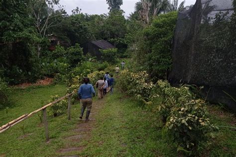 Iquitos T Gige Tour Durch Den Nachhaltigen Regenwald Von San Rafael