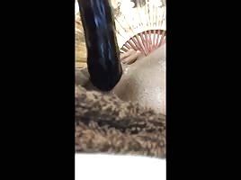 Diggin In That Pussy Shesfreaky