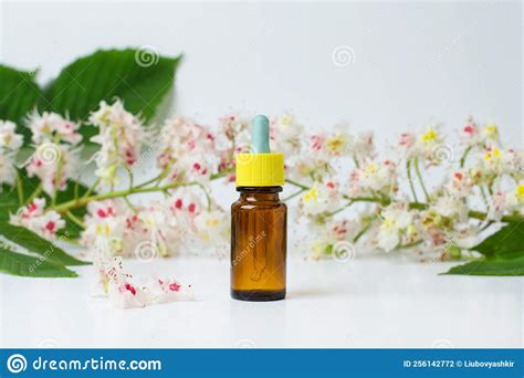 Bottle Of Horse Chestnut Extract Essence Of Chestnut Flowers