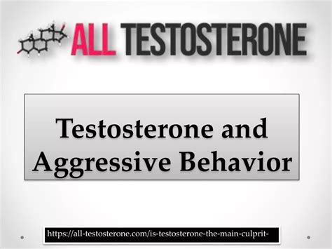 Testosterone And Aggressive Behavior Ppt