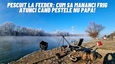 Pescuit La Feeder Pe Canalul Cu Apa Calda Cernavoda Cum Sa Manaci Frig