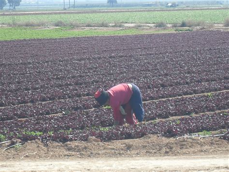 Down to Egypt: Agriculture in Murcia, Beaches in Alicante