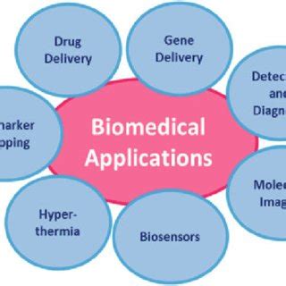 (PDF) Polymeric and Ceramic Nanoparticles: Possible Role in Biomedical Applications