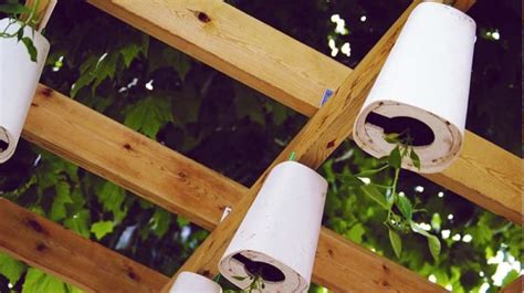 How To Make A Diy Upside Down Planter Garden Season