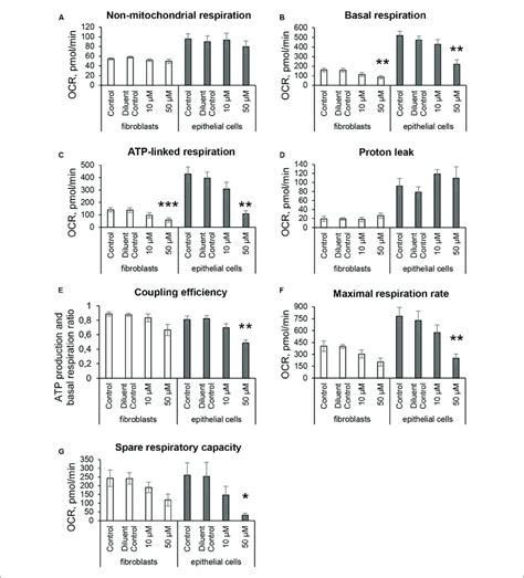 Mitochondrial Respiratory Activity In Fibroblasts And Intestinal