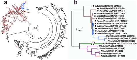 Phylogenetic Relationships Between Has Of H1 Influenza Viruses A