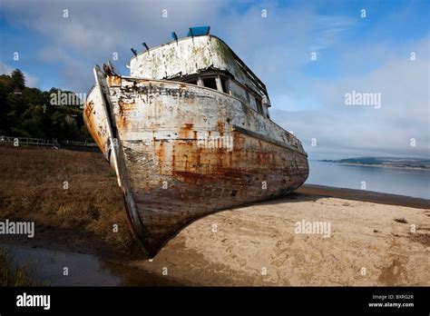 Abandoned Shipwreck Of The Point Reyes Along The Shore Of Tomales Bay