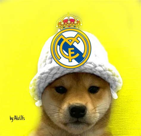 Pin By Otavio Augusto On Arte Real Memes Real Madrid Memes