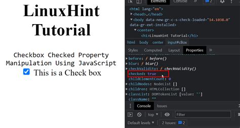 JavaScript Input Checkbox Checked Property Explained With Examples