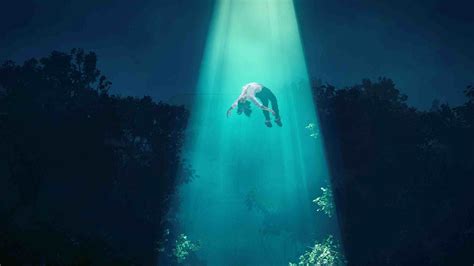 Reptilian Starseed Souls Space