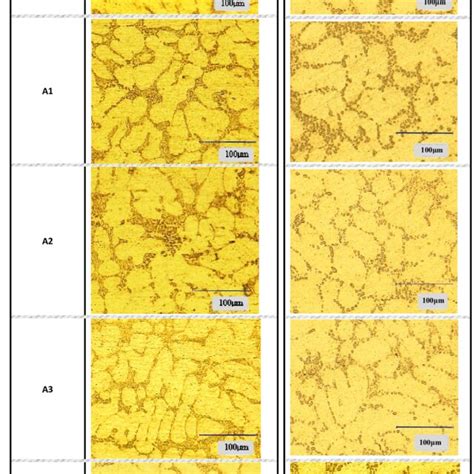 Microstructures Of A0 A356 Base Alloy A1 A356 AlTi5B18 AlSr15