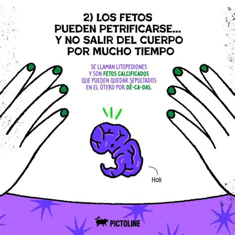 Cosas Curiosas Que No Sabias De Tu Cuerpo Muhimu Es