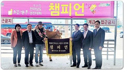 전남 장흥군 “최고의 소를 찾아라” 으뜸한우 경진대회 성황 위키트리