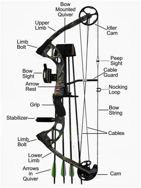 Components Of A Compound Bow