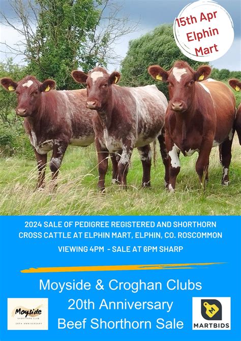 Moyside & Croghan Shorthorn Breeders Clubs Spring Sale - Irish Shorthorn Society