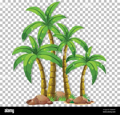 Palm Tree Clip Art Transparent Background