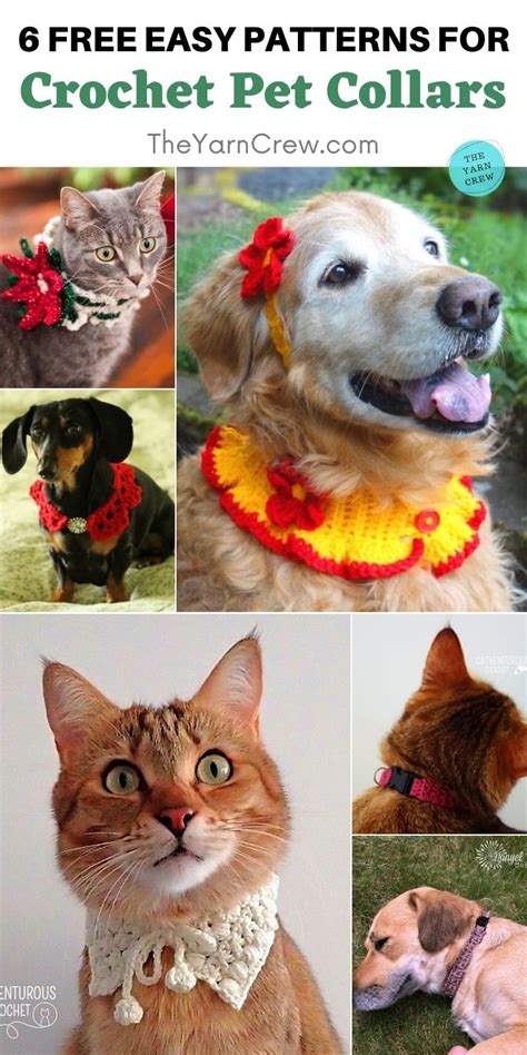 6 Free Easy Pet Collar Crochet Patterns The Yarn Crew