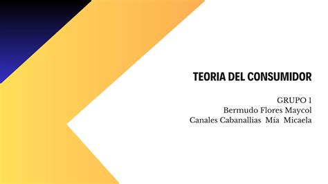 Teoria Del Consumidor Pdf