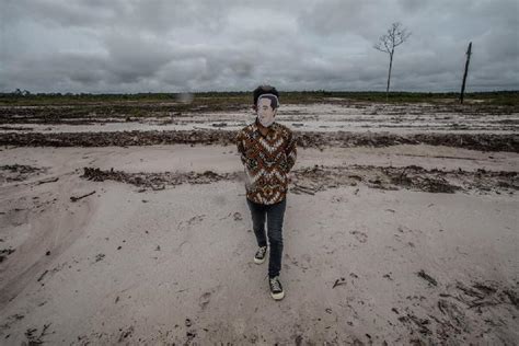 Setelah Food Estate Kini Pemerintah Bangun Shrimp Estate Walhi