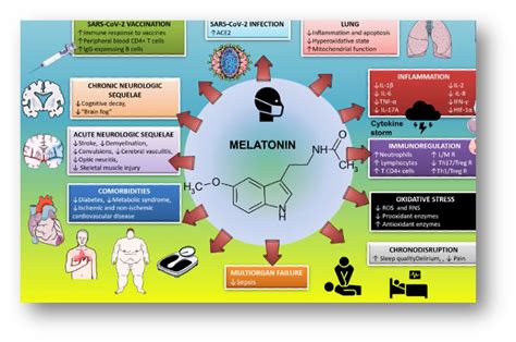 Melatonin in the Time of Pandemic (Part II)