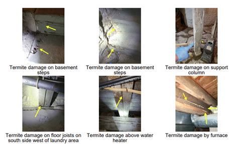 How To Repair Floor Joist Termite Damage Floor Roma