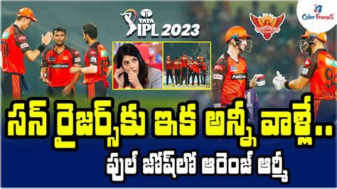 Srh Ipl Major Players In Sunrisers