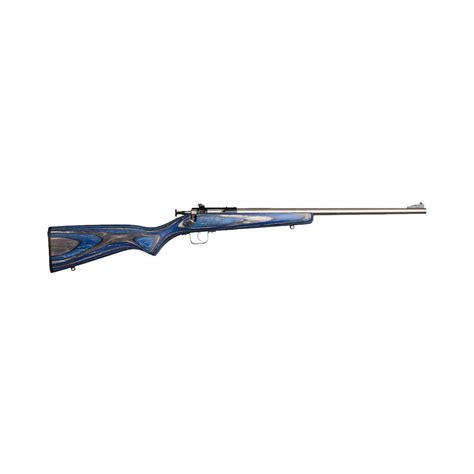 Crickett Rifle G2 22lr Ss Blue Laminate Firearms From Killough