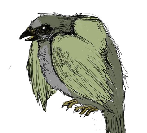 A Creepy Bird By Gersham On Deviantart