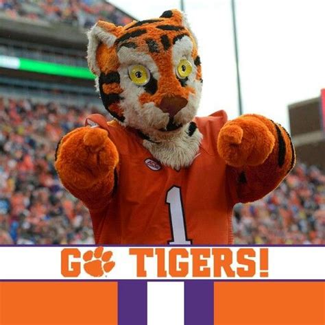 Go Tigers Teddy Bear Clemson Tigers Tiger