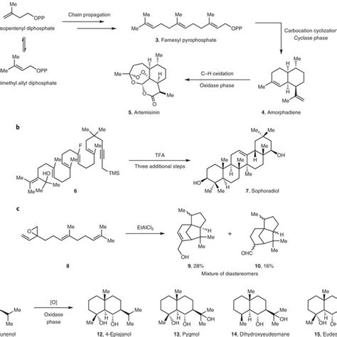 Total Synthesis Of Terpenes Via Palladium Catalysed Cyclization Strategy