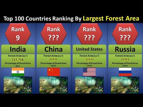 Top Countries By Largest Forest Area And Percentage Of The Forest