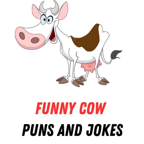 90+ Cow Puns and Jokes: Moo-ving Jokes - Funniest Puns