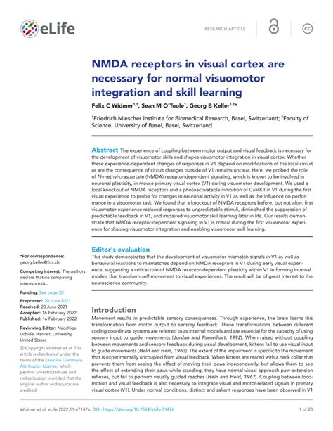 PDF NMDA Receptors In Visual Cortex Are Necessary For Normal