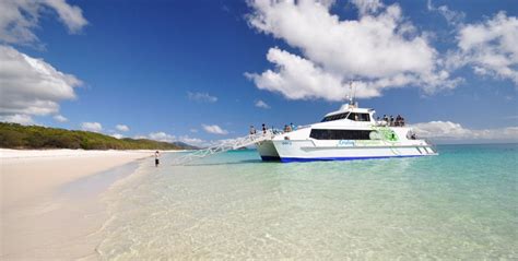 Cruise Whitsundays Whitehaven Beach Daydream Island Tour