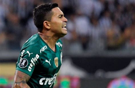 Palmeiras Es El Primer Finalista