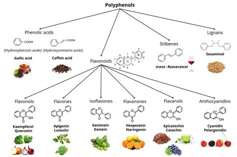 Basic Structural Skeletons Of Phenolic Compounds Representative