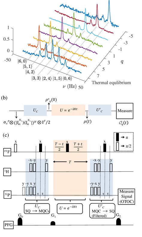 A A Reference 31 P NMR Spectrum First Trace And Spectra