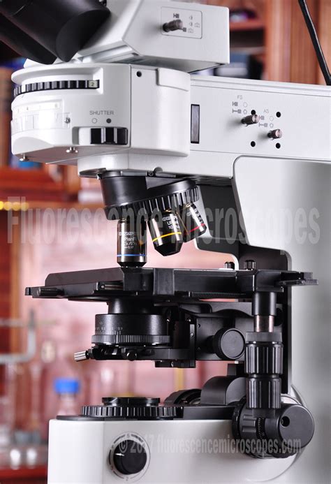 Fluorescence Microscopes Olympus Bx Upright Fluorescence Research