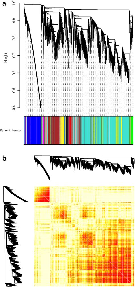 Weighted Gene Co Expression Network Analysis Wgcna Of A The