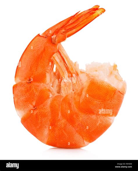 Tiger Shrimp Prawn Isolated On A White Background Seafood Stock Photo