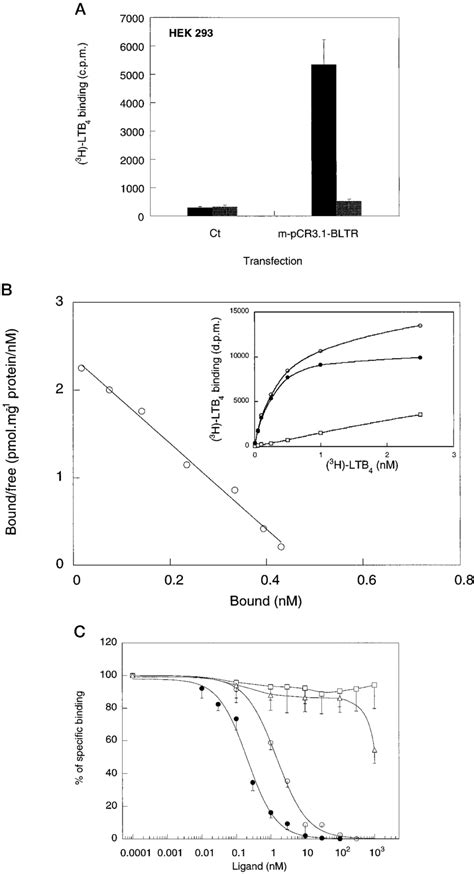 3 H Ltb 4 Binding To Membrane Fractions Of Hek 293 Cells Transiently