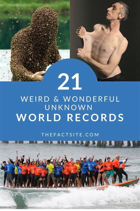 21 Weird And Wonderful Unknown World Records The Fact Site World