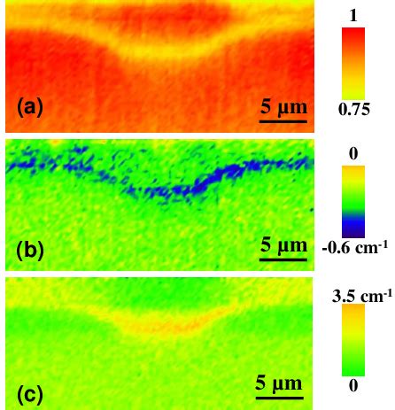 Spatial Dependence Of The Intensity A The Induced Spectral Shift