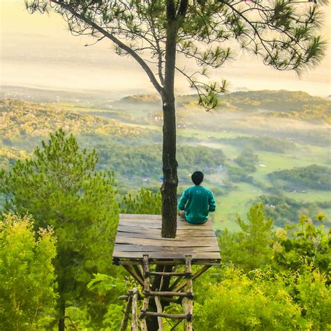 Photo Of A Man Sitting Under The Tree · Free Stock Photo