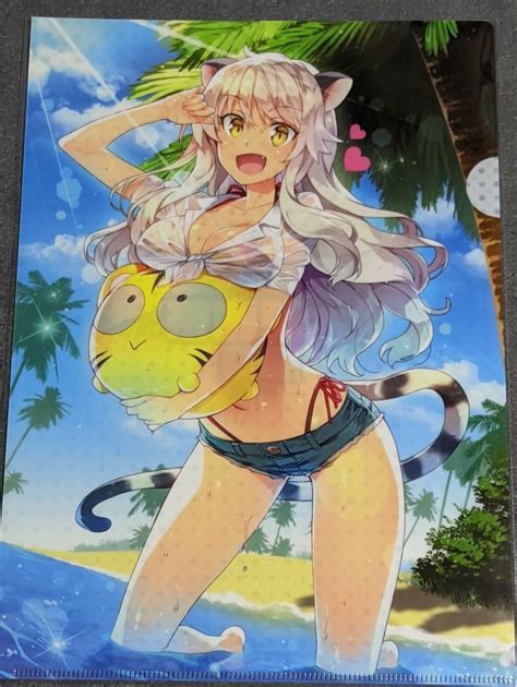 【やや傷や汚れあり】クリアファイル おつまみ Redrop とらのあな 夏の大感謝祭2015 特典 水着 P146の落札情報詳細