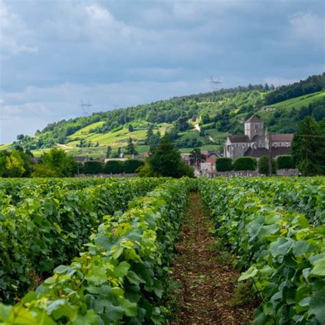 Experiences at COMO Le Montrachet - Côte de Nuits Wine Tour