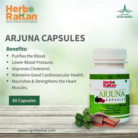 Arjun Chal Capsule Arjuna Capsules Latest Price Manufacturers