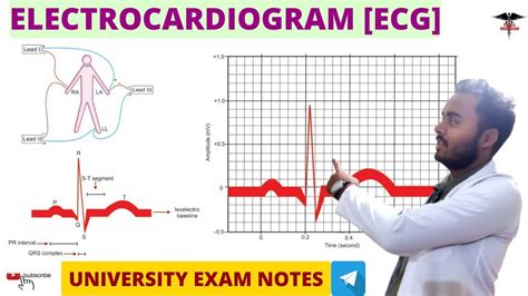 Electrocardiogram Ecg Ecg Wave Cvs Physiology Youtube