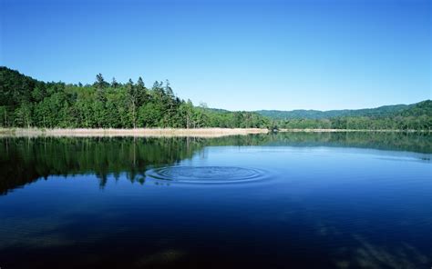 trees reflection lake water wallpaper - Coolwallpapers.me!