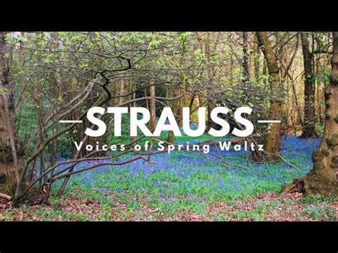 Strauss Voices Of Spring Waltz Johann Strauss Ii Fr Hlingsstimmen